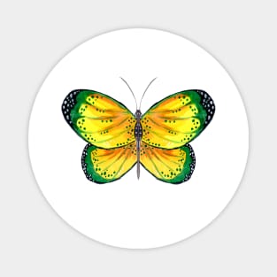 Yellow and Green Butterfly Magnet